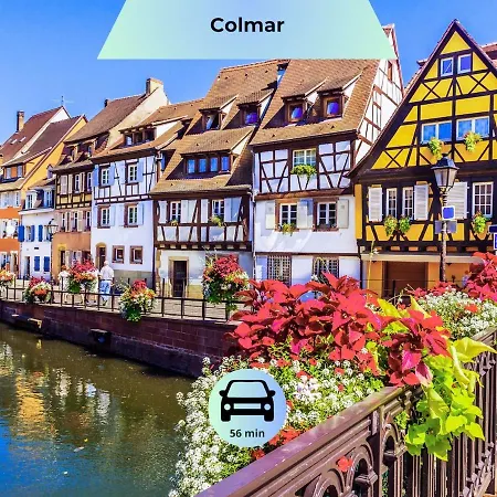 Apartment - Ideal Sejour Professionnel Ou Familial - Proche Bus Direct Au Centre De Strasbourg *