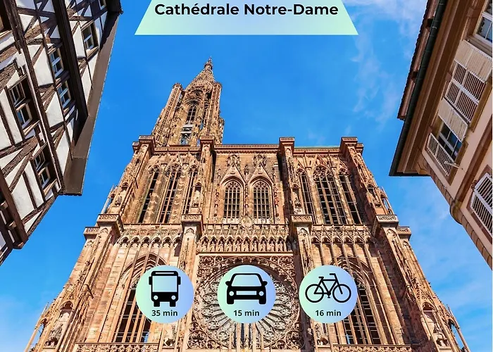 Apartment - Ideal Sejour Professionnel Ou Familial - Proche Bus Direct Au Centre De Strasbourg